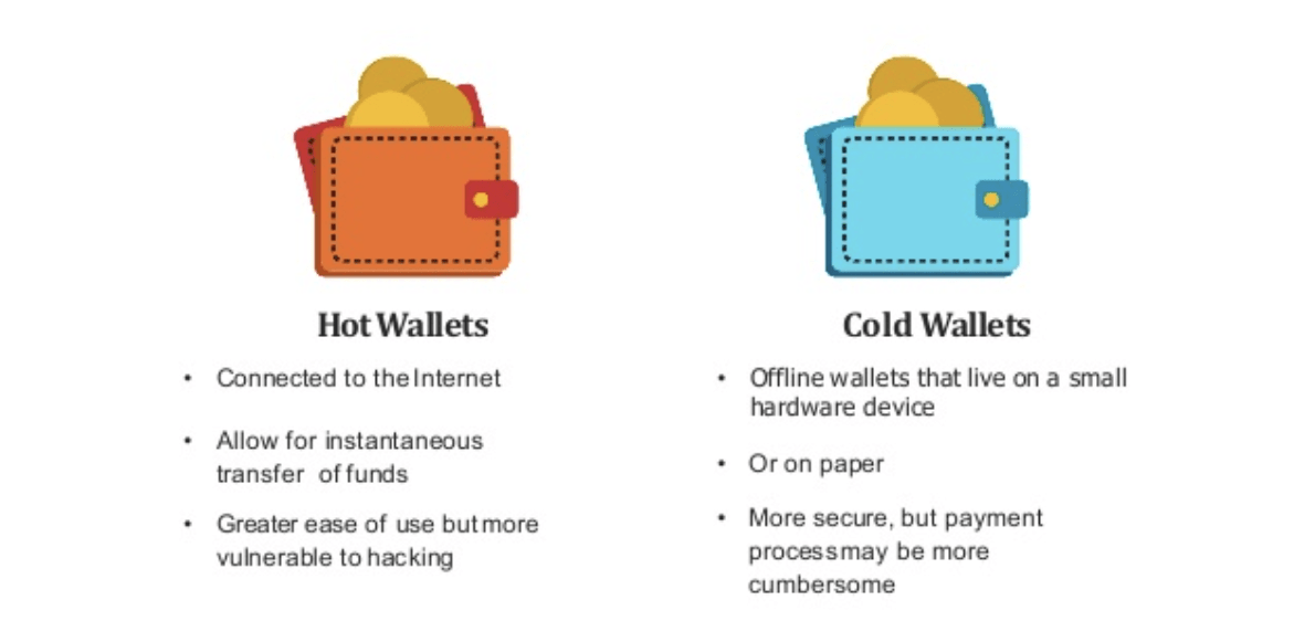 hot vs cold wallet